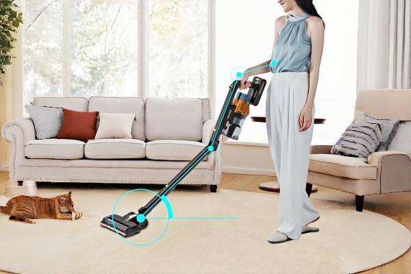 Case 3: High-Performance BLDC Motor Vacuum for North American Brand